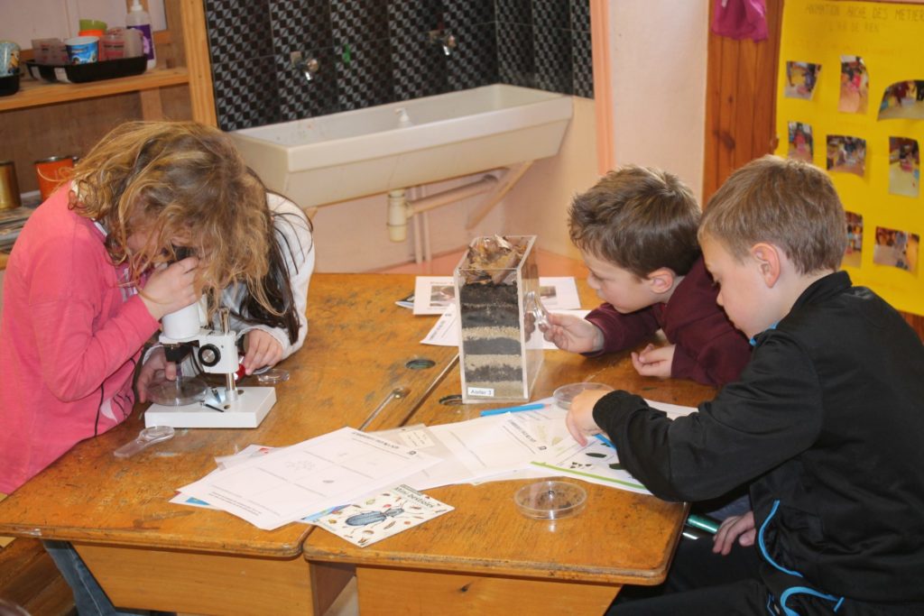 anim-biodiversite-ecole
