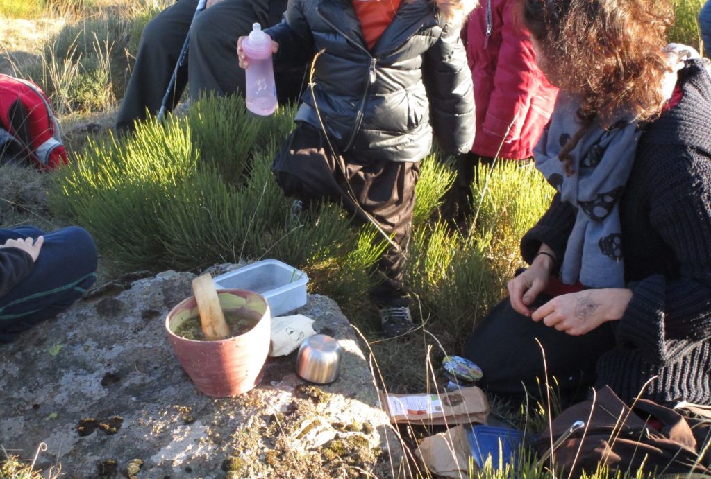 29-plantes-et-potions-diaboliquement-sauvages-ccsti-de-lardeche